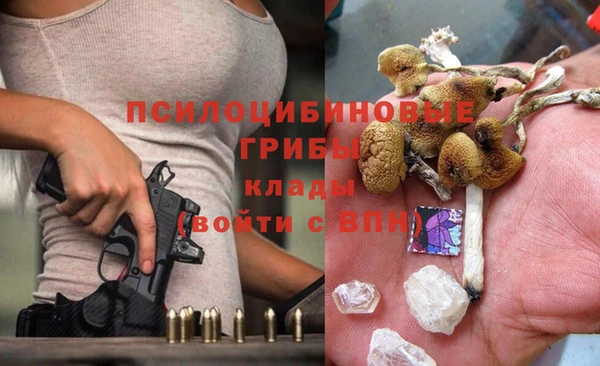 spice Баксан
