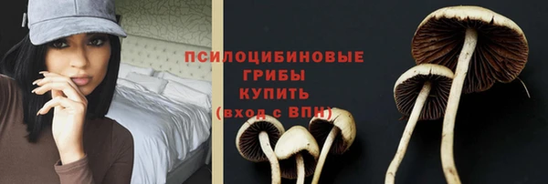 скорость Рославль