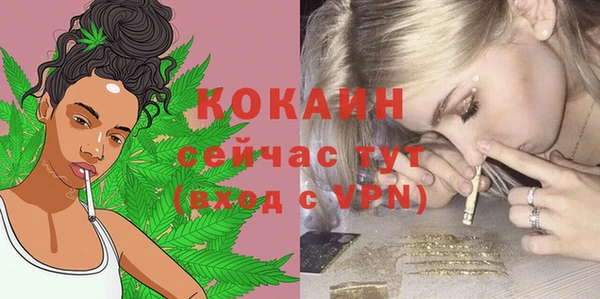 шишки Балахна