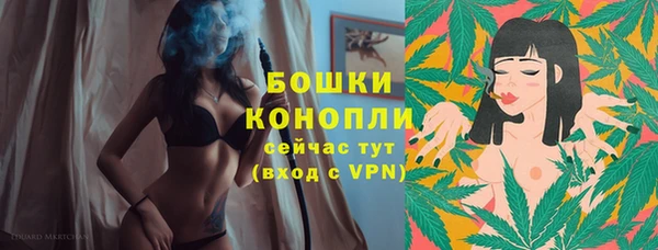 шишки Балахна