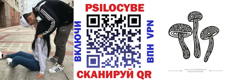наркошоп  Николаевск  Псилоцибиновые грибы Cubensis 