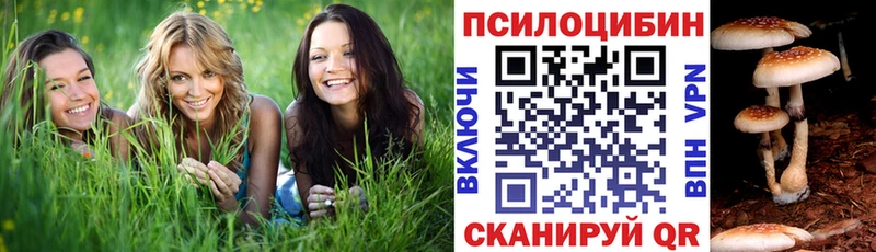 Псилоцибиновые грибы мухоморы Николаевск