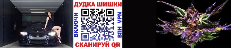 Марихуана OG Kush  где купить   Николаевск 